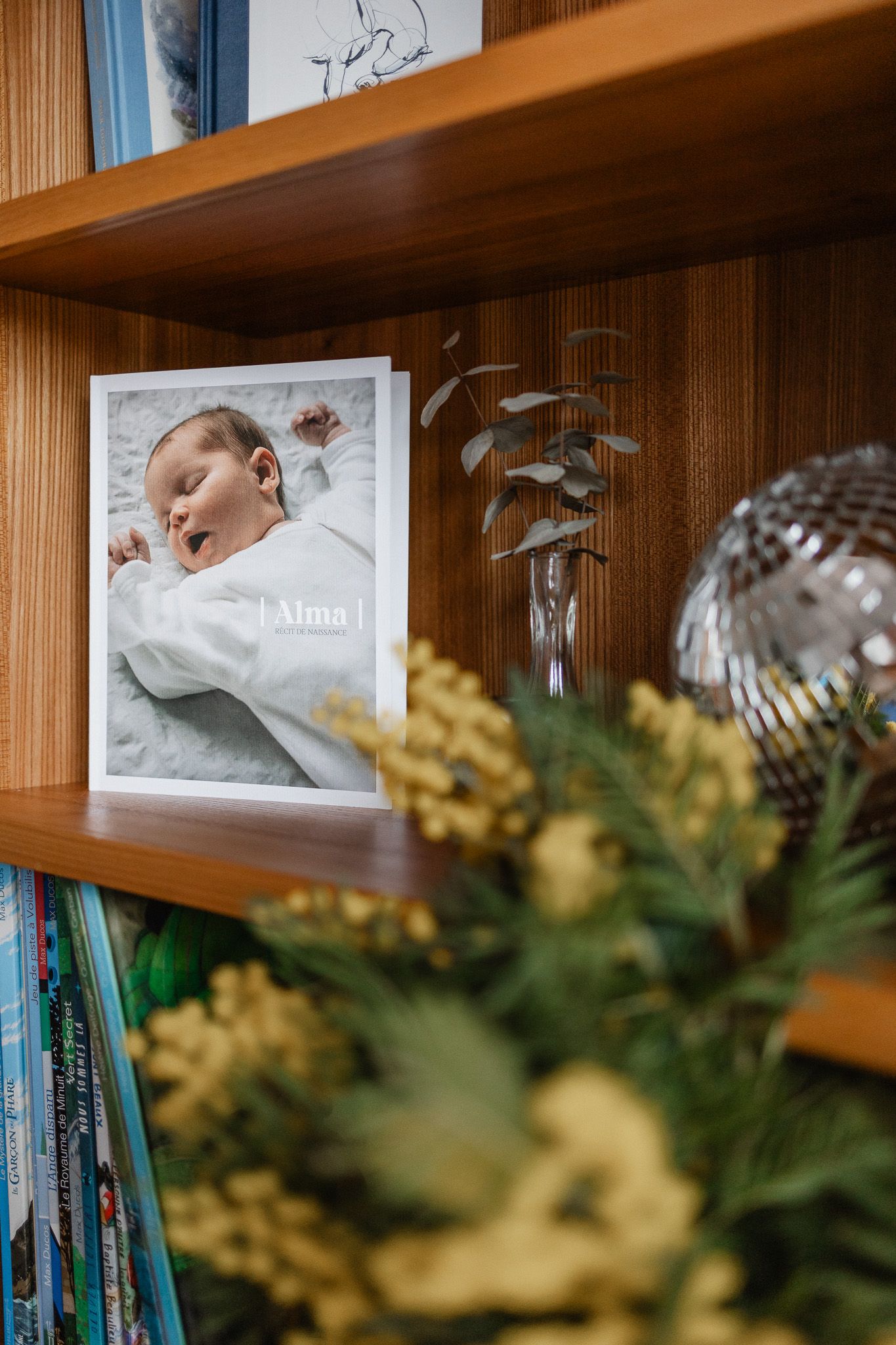 le meilleur cadeau de naissance a offrir a de jeunes parents : un livre de naissance personnalise avec recit et photos