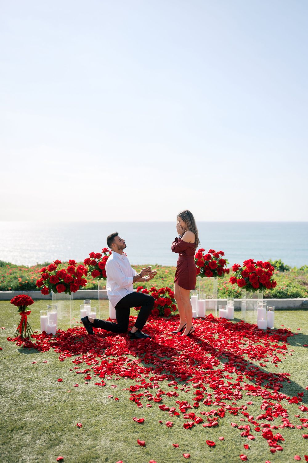 A romantic proposal scene with red rose petals scattered on grass overlooking the ocean.