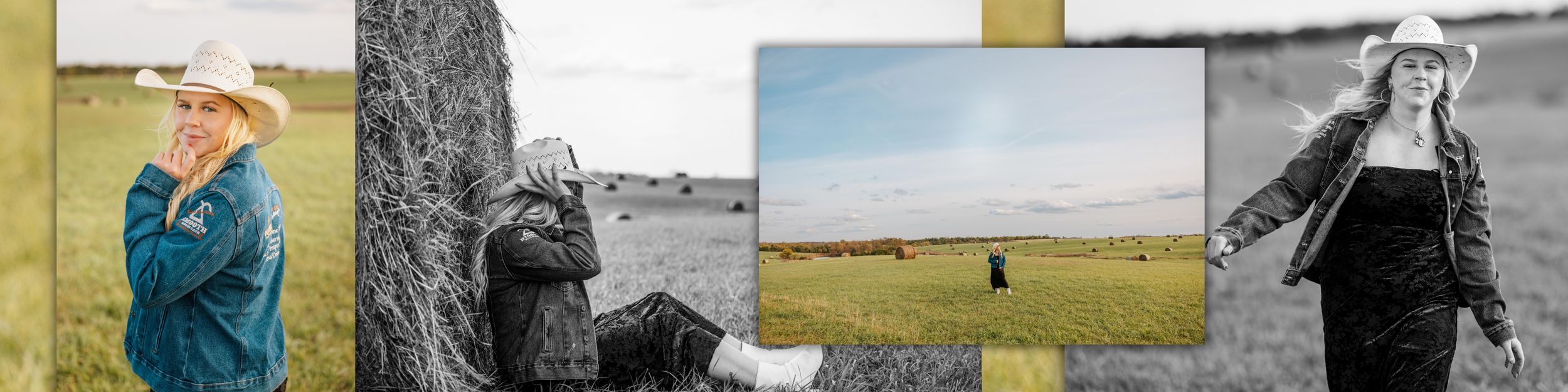 A collage of black and white and color landscape photographs arranged in a horizontal strip.
