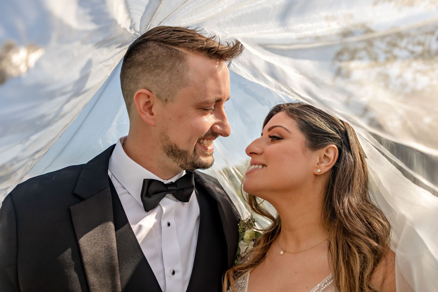Elegant wedding portrait with flowing veil against dramatic cloudy sky.