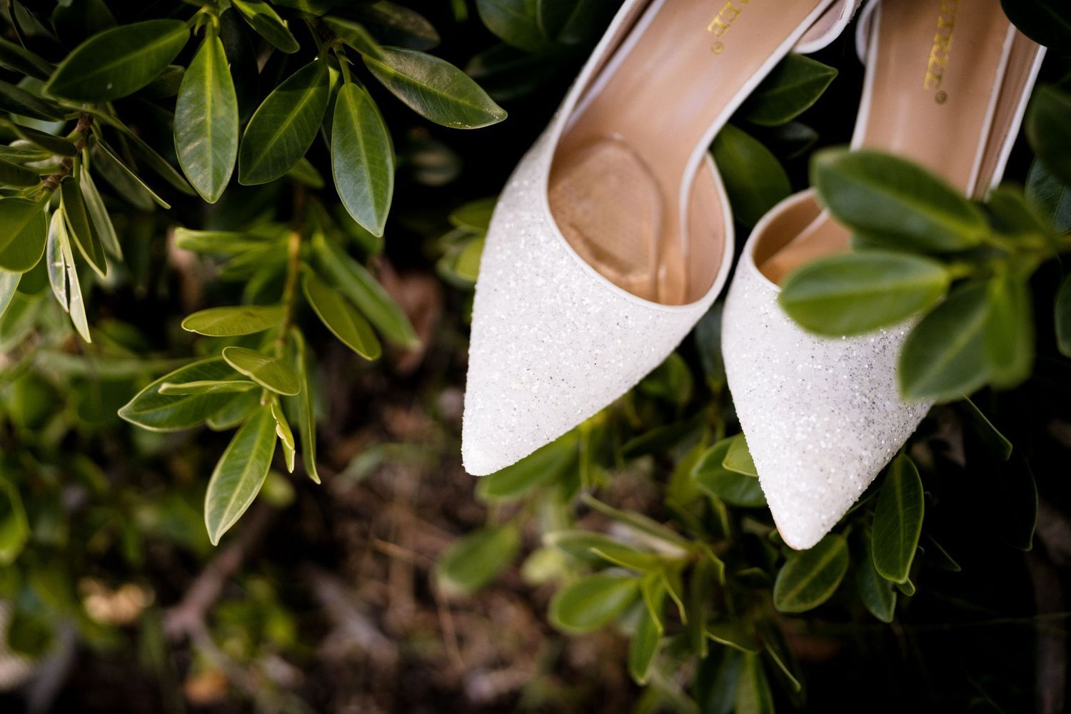 Elegant white glitter bridal heels resting among green leaves. Jupiter Wedding Photographer. Hobe Sound Wedding Photographer. Videographer