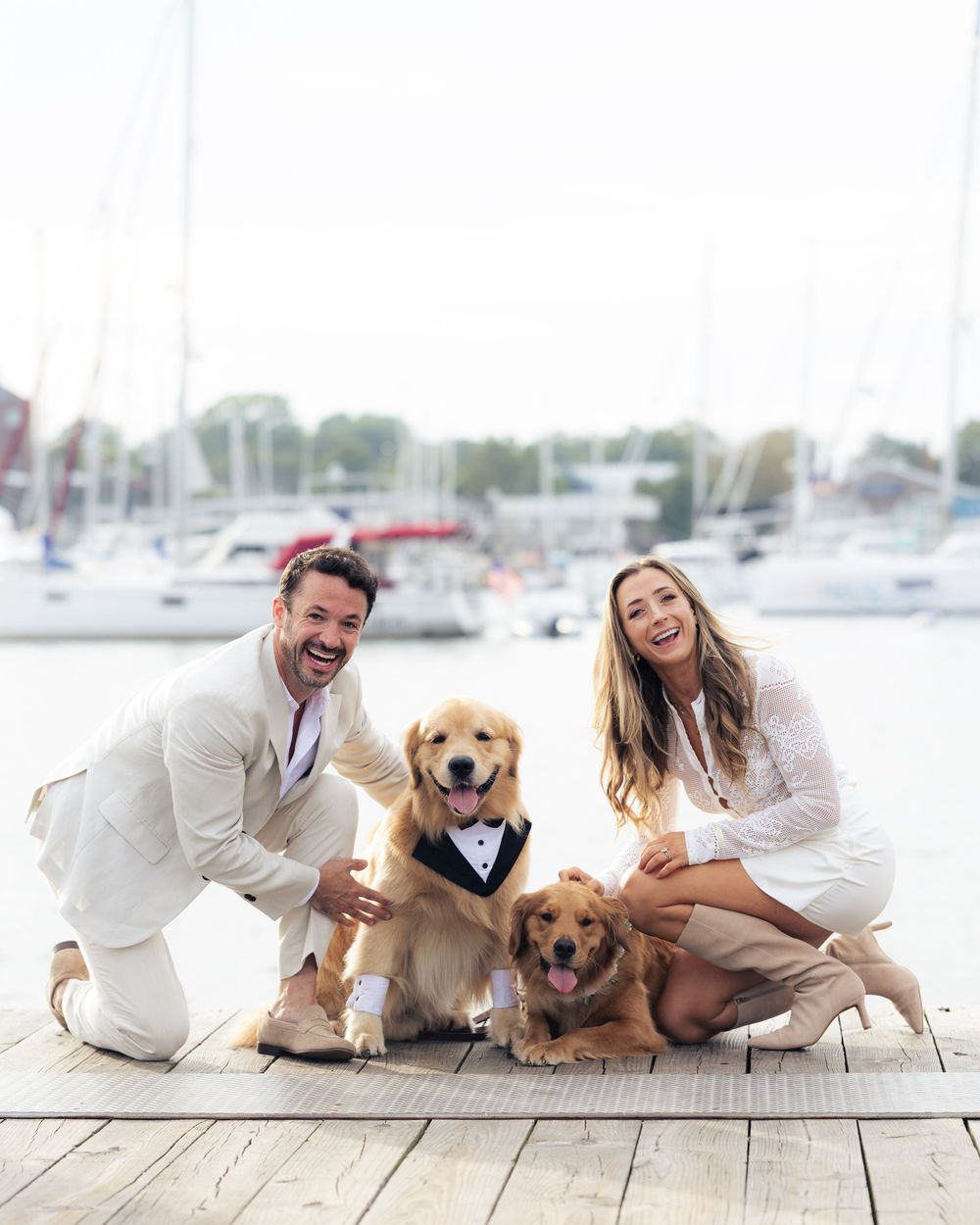 Happy couple in wedding attire posing on wooden dock with their golden retriever dogs at the Annapolis Waterfront