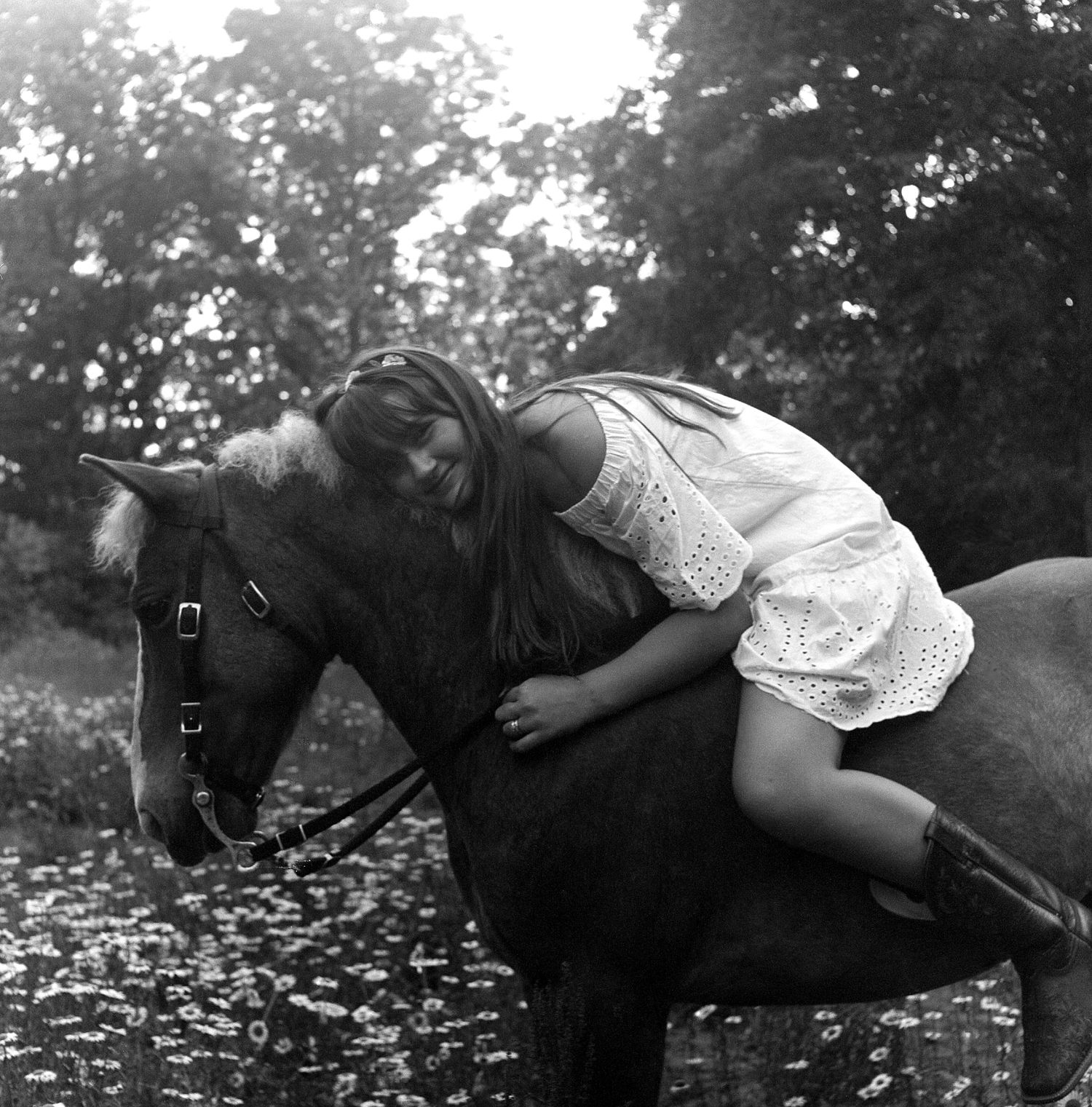 A black and white photo sequence shows a person lying on a horse in a field of daisies.