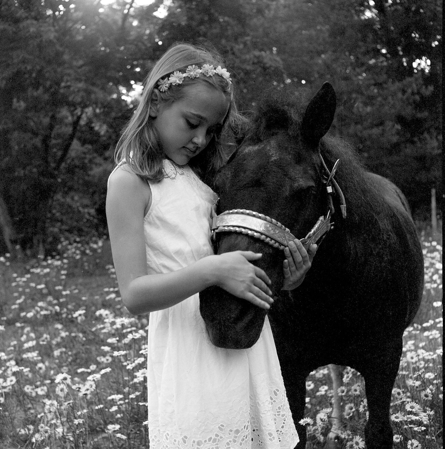 A series of black and white photos showing tender moments between a young child in a white dress and a dark horse.