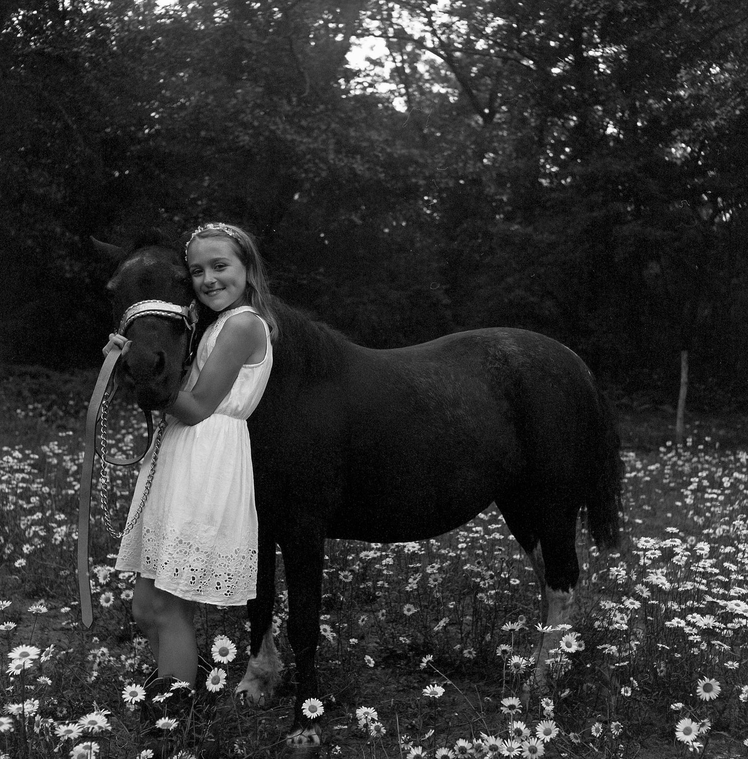 A person in dark clothing bends down to pick flowers in a meadow of daisies in black and white photography.