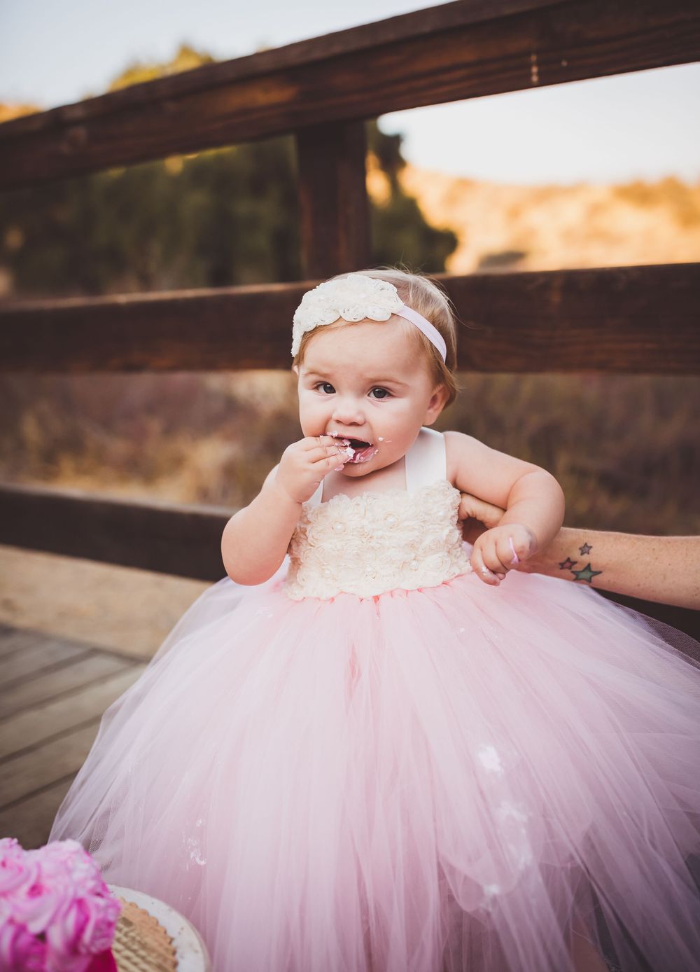 A baby in a pink tulle dress and headband smiles while sitting on a rustic wooden deck at sunset.