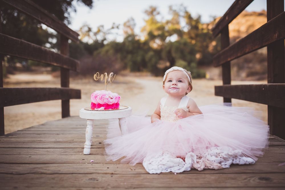 A series of photos showing a baby in a pink tutu dress sitting and posing on a rustic wooden bridge.