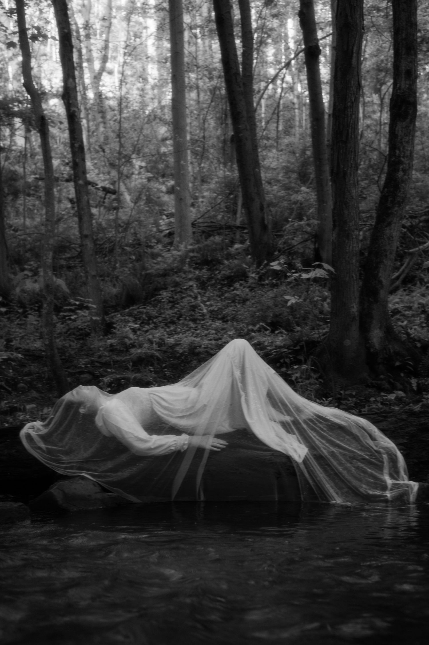 Ethereal black and white photo of flowing fabric draped over water in misty forest. First Place at Dark Arts Stamford