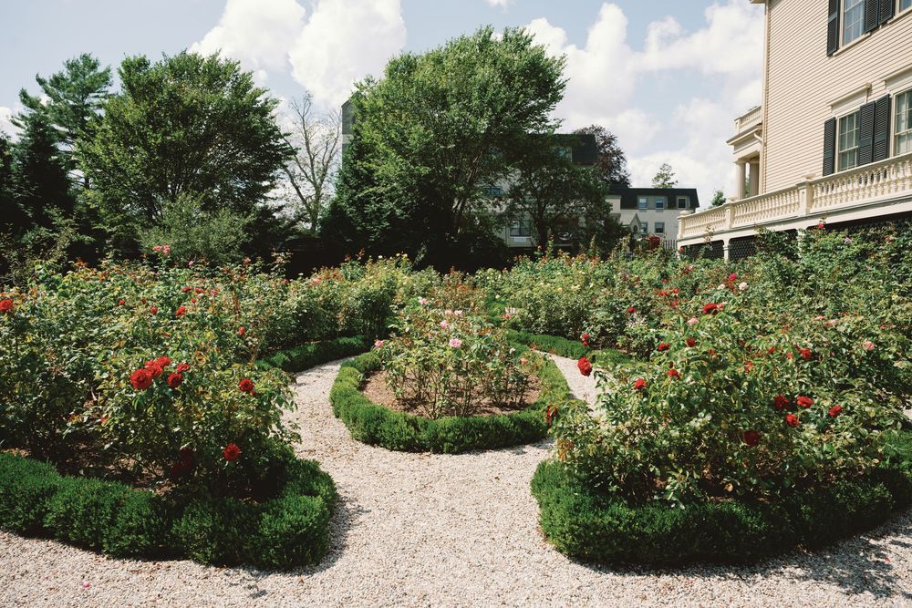A curved gravel path winds through a lush garden filled with blooming red roses and green shrubs beside a building.