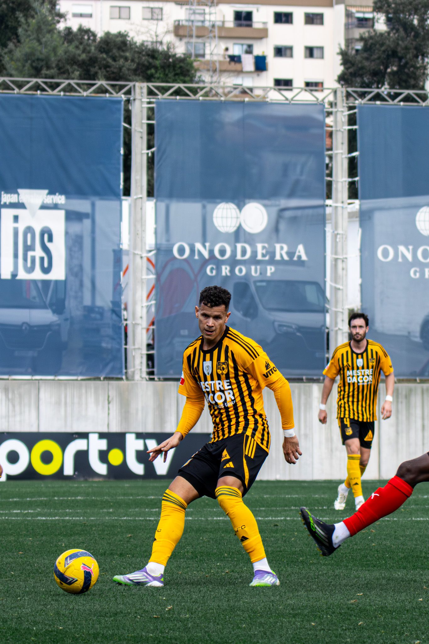 Lusitania de Lourosa x Maritimo, Liga Portugal 2 Meu Super