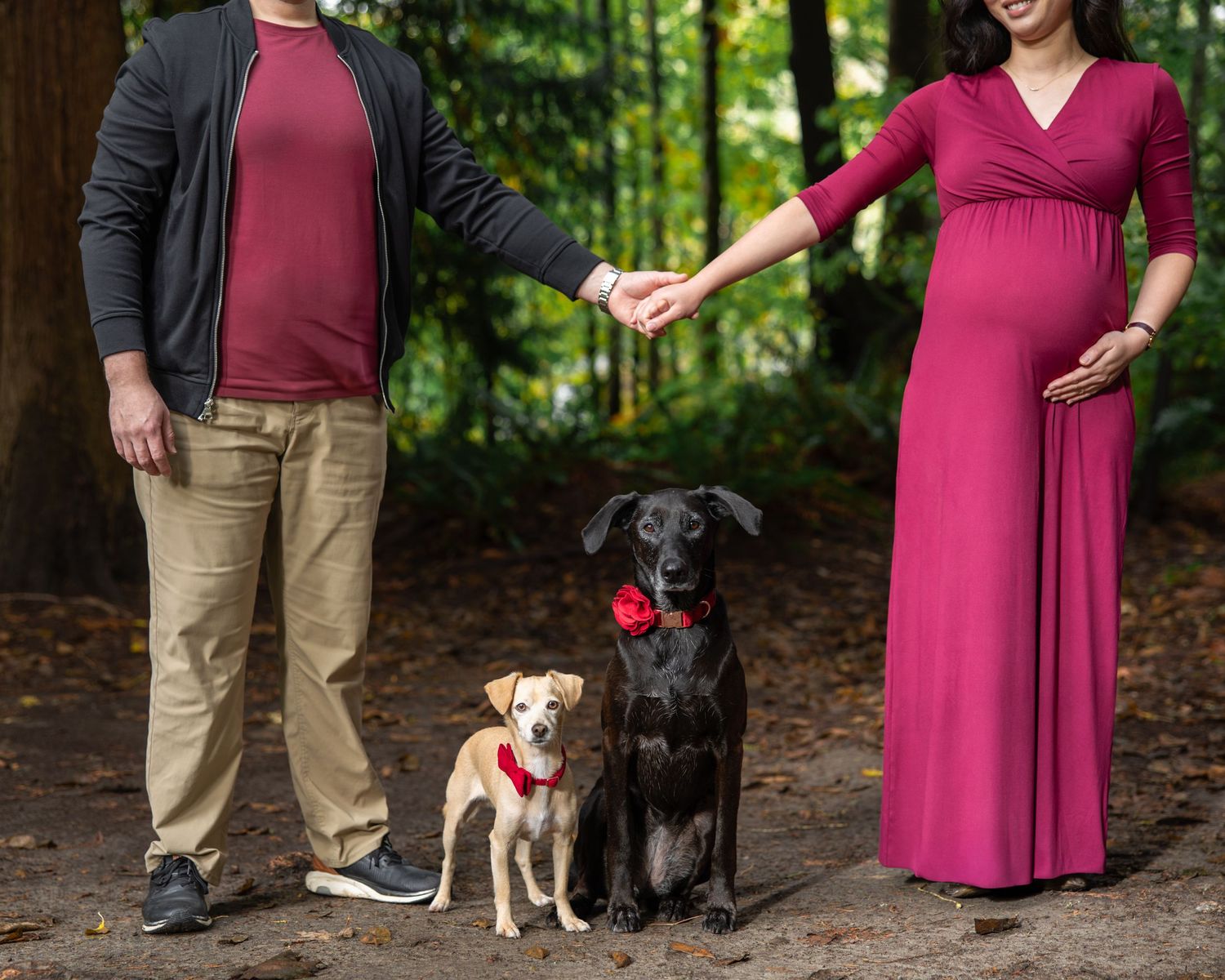 Pregnant woman in pink gown and man in red shirt hold hands over two dogs in a forest maternity photo.