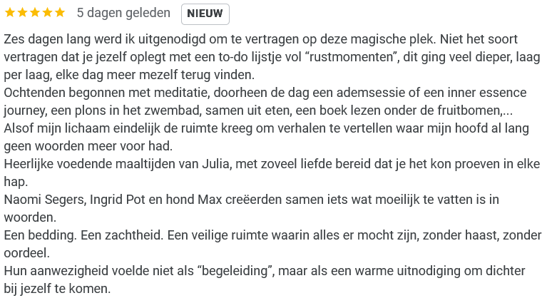 Google-review over Casa Serena Vida