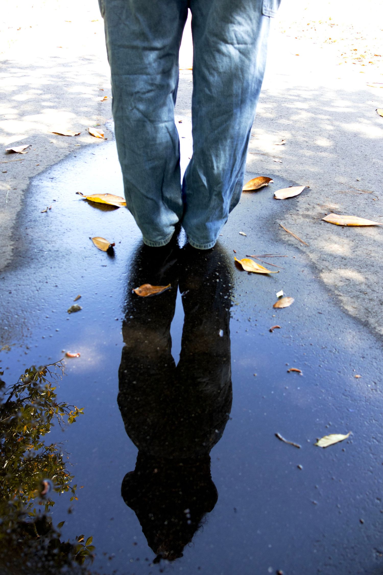 Person in blue jeans standing beside a puddle reflecting their silhouette with fallen autumn leaves.
