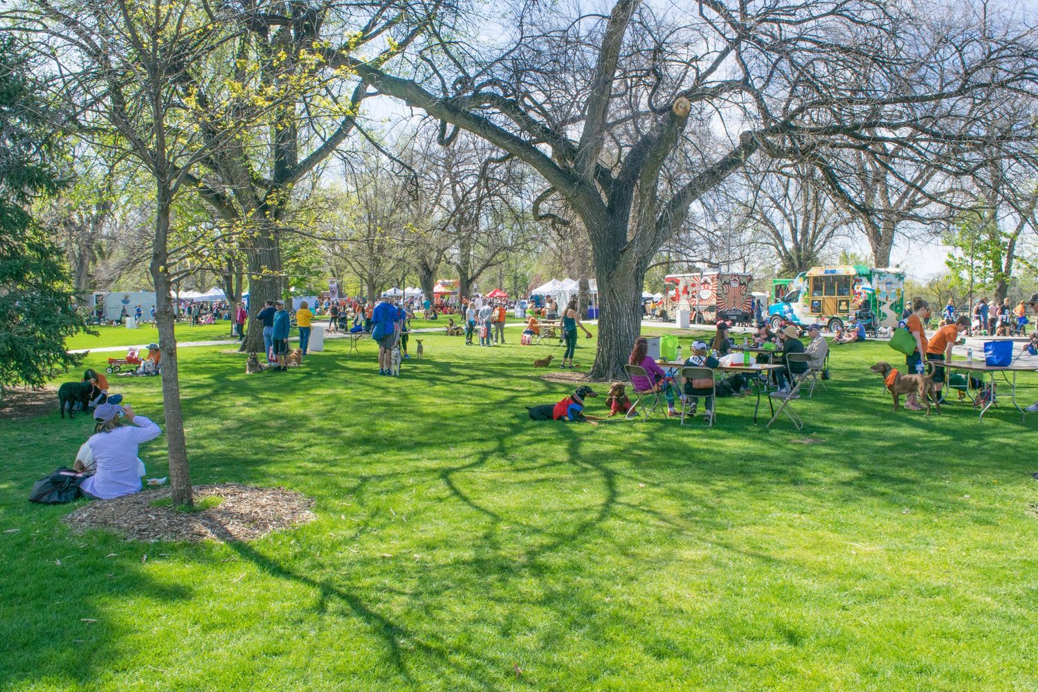 People enjoying a sunny outdoor park festival with green grass, trees, and colorful tents in the background.