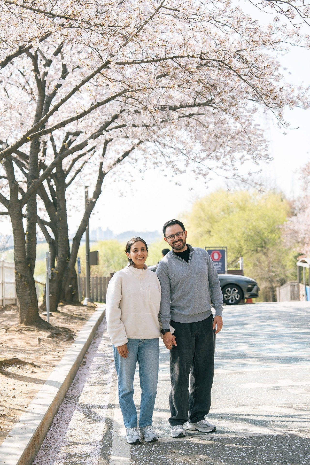 Couple holding hands under blooming cherry blossom trees on a sunny spring day along a peaceful pathway.