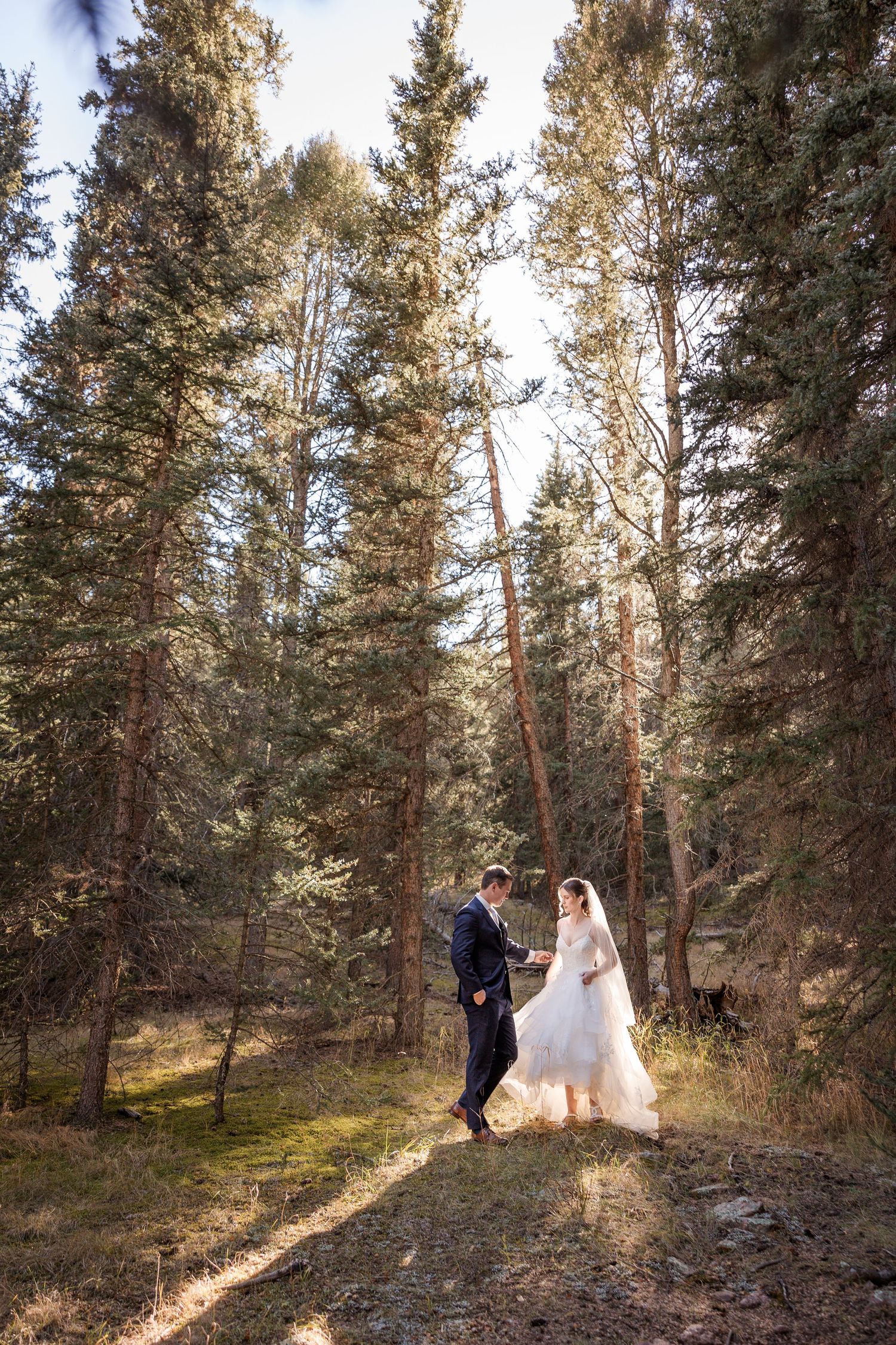Ethereal sunlit forest scene with flowing white dress twirling among evergreen trees and golden light bokeh effects.