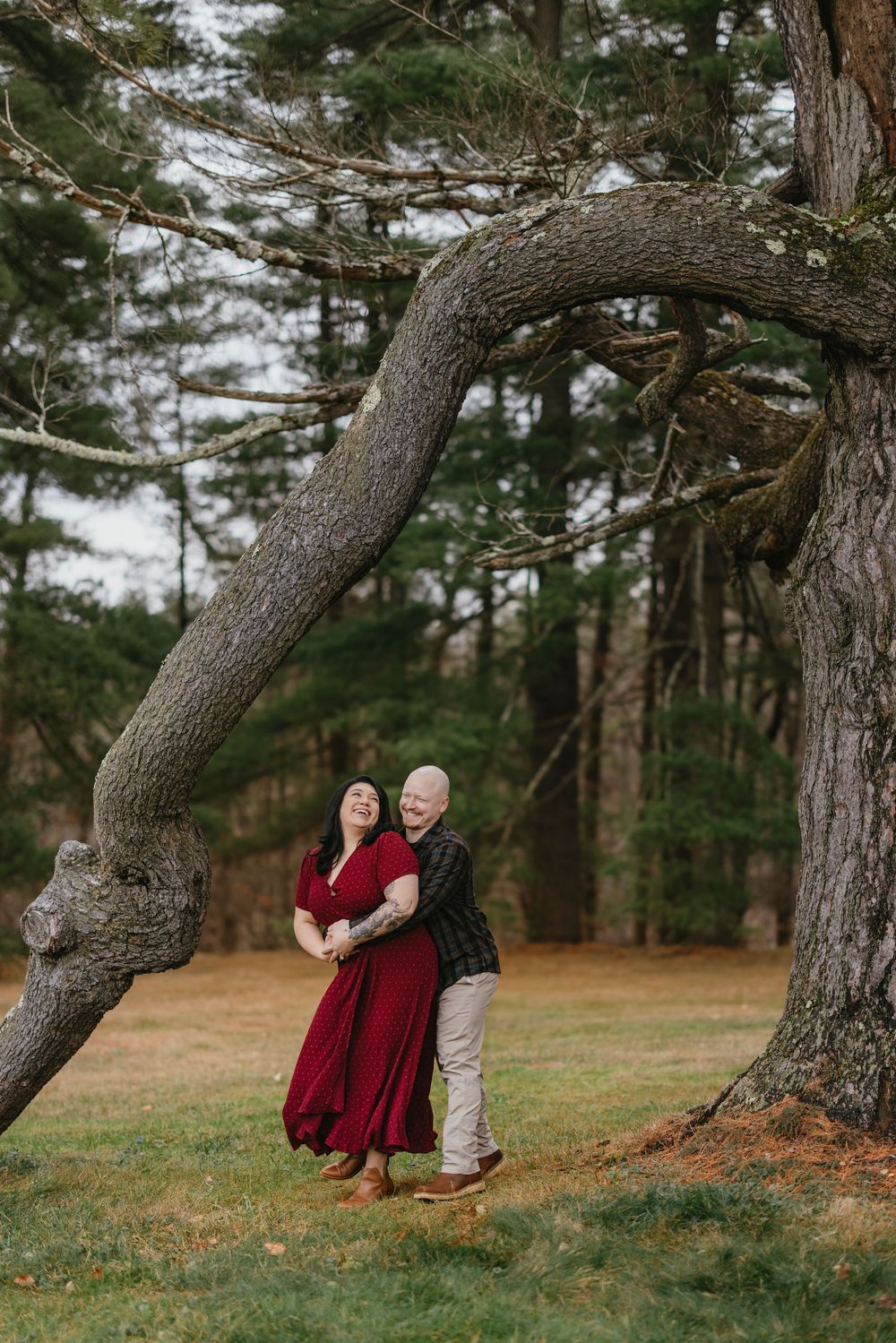 Couple embracing under a large curved tree in a forest park, woman in red dress, man in dark shirt.