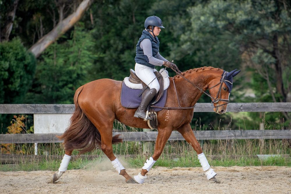 Rider in helmet on chestnut horse trotting in sandy dressage arena with wooden fence and green trees.