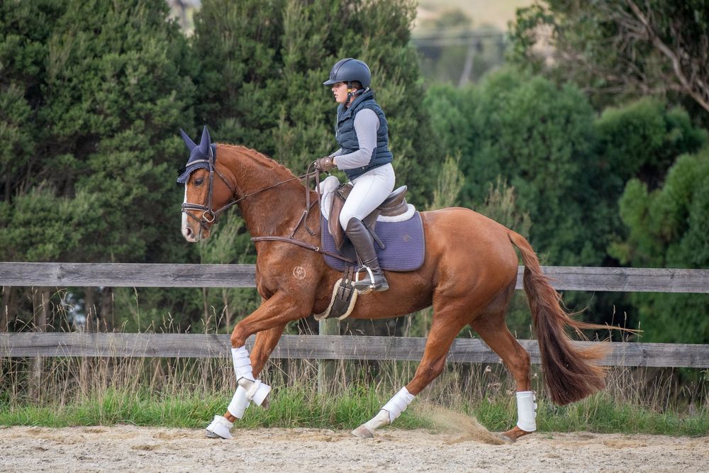A rider in white breeches and helmet canters a chestnut horse in an outdoor sand arena with green trees behind.