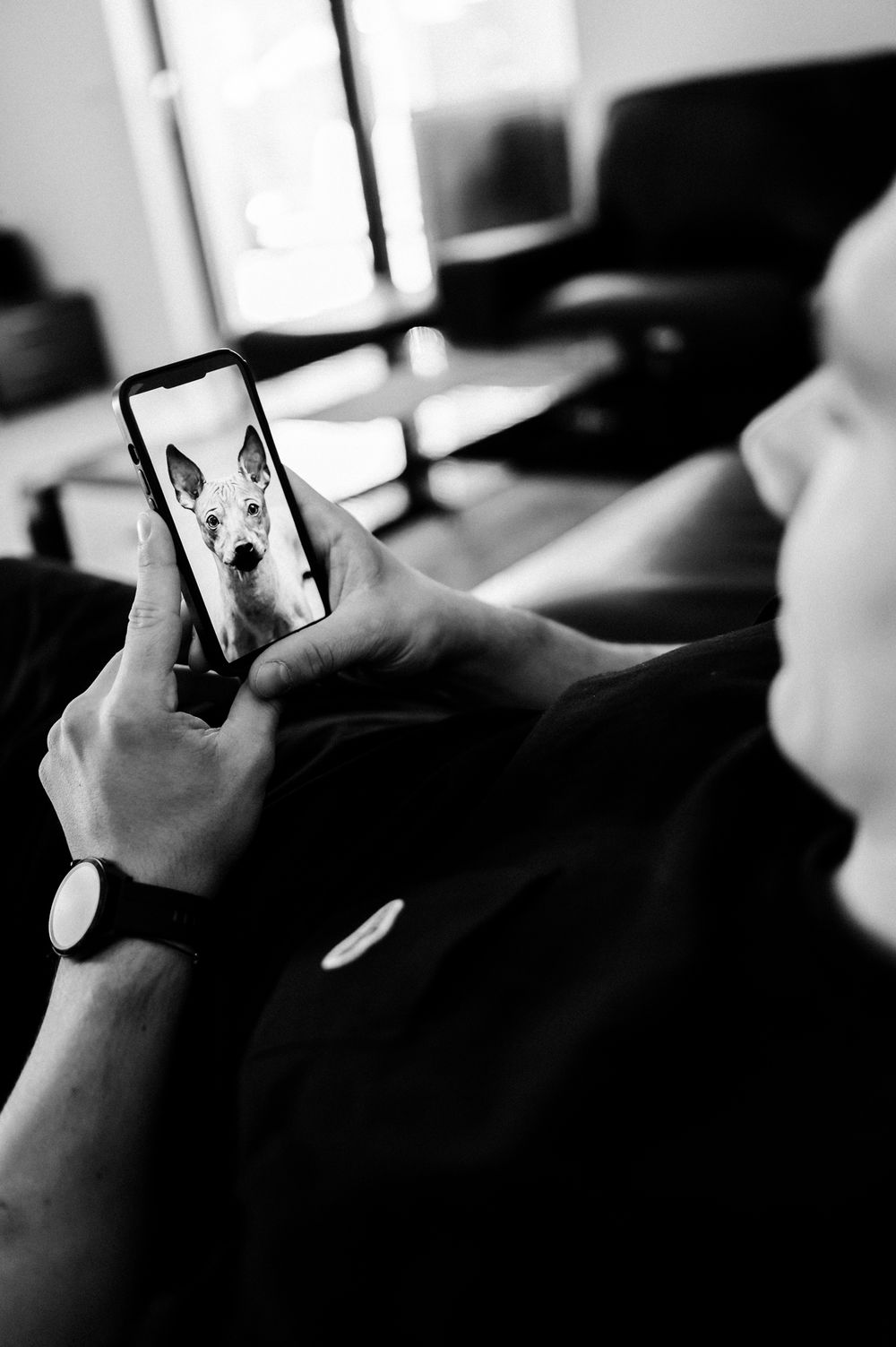 Person holding smartphone displaying a dog photo, wearing a watch, in black and white indoor setting.