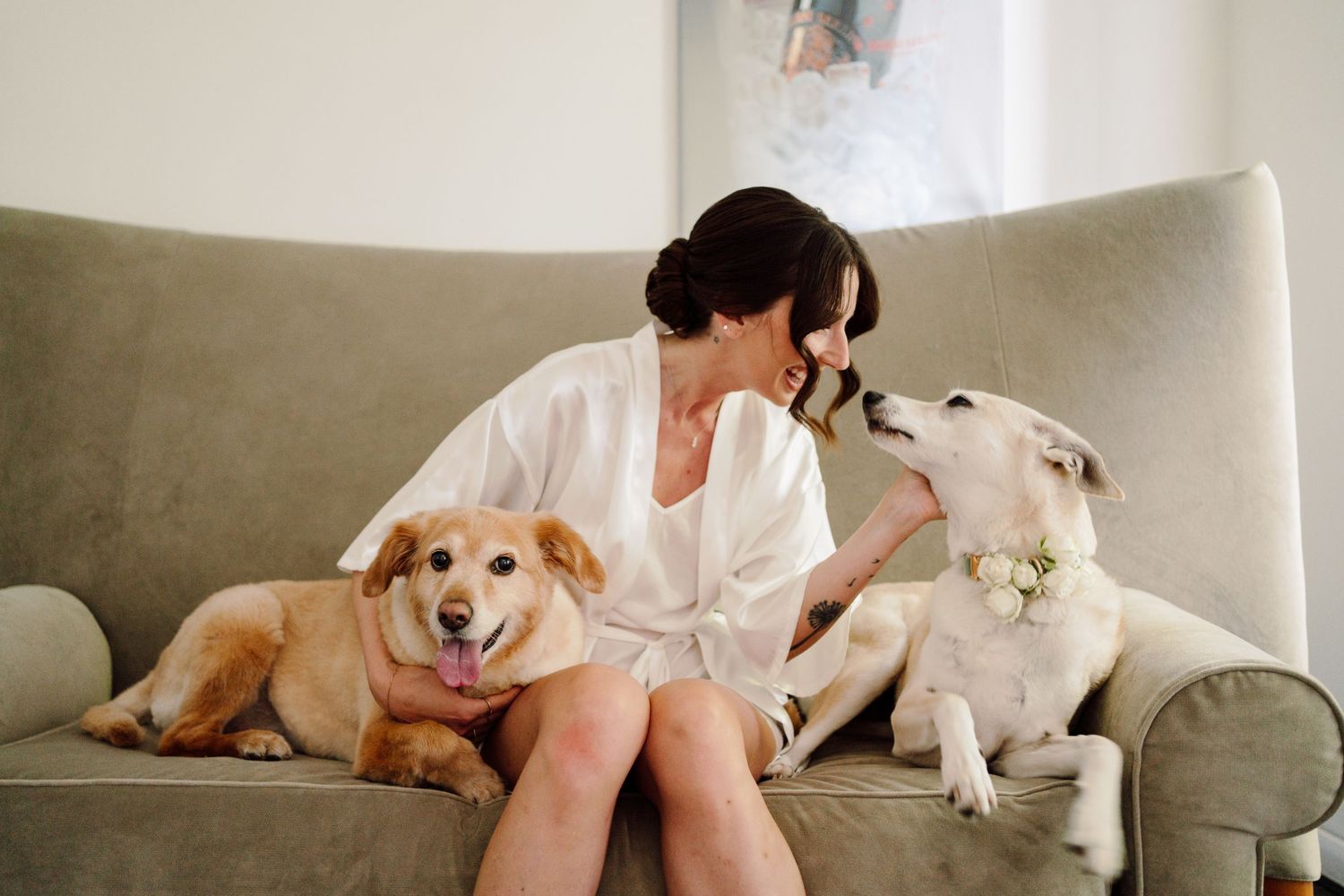 Happy bride in white robe sitting on grey sofa with two dogs, one wearing a floral collar, on wedding day.