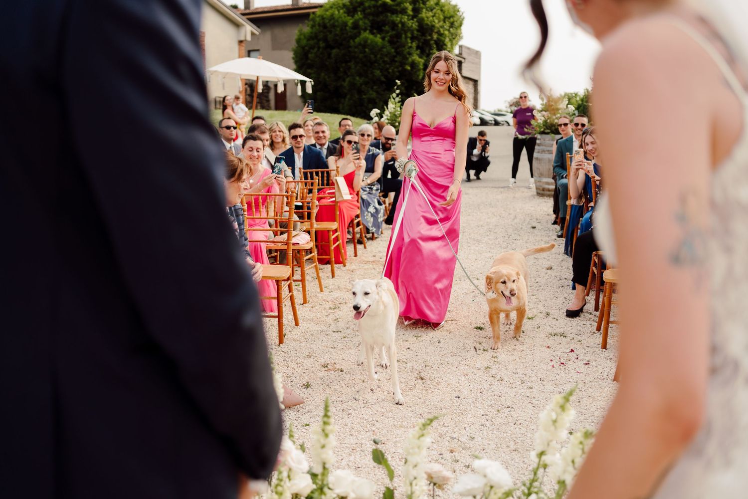 Woman in pink dress walks two dogs down wedding ceremony aisle for couple.