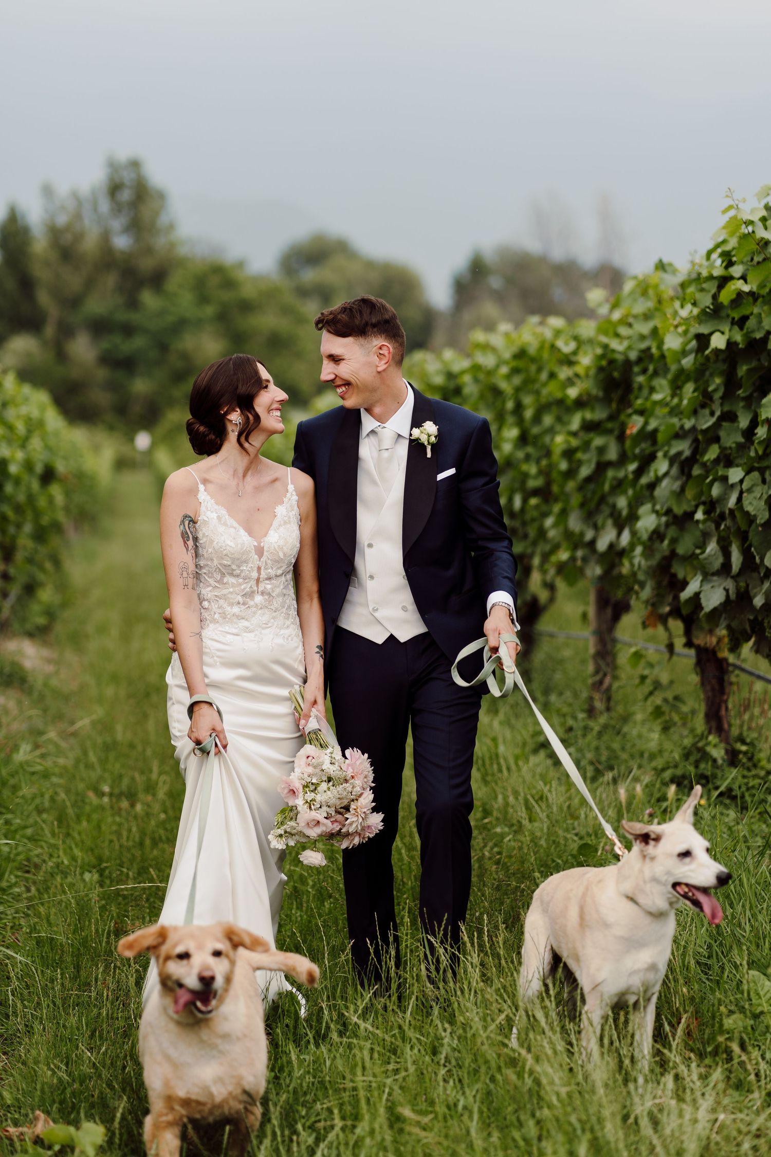 Bride and groom smiling at each other in a vineyard with two happy dogs running beside them.