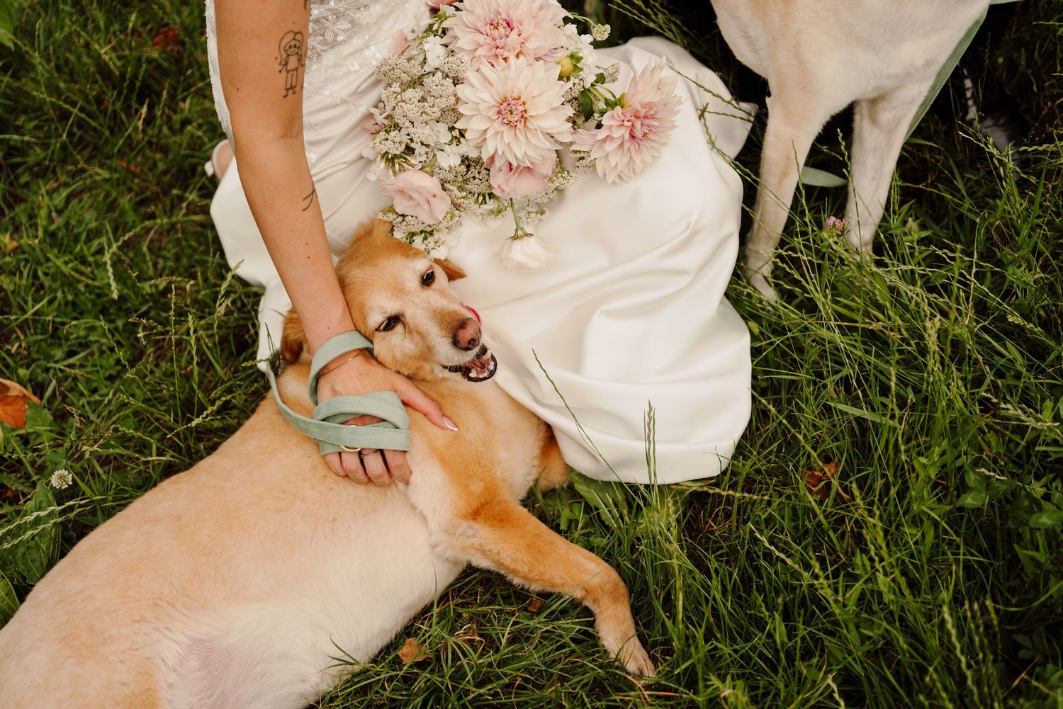 Bride petting a golden dog lying in green grass beside a bouquet of pink flowers at a vineyard wedding.
