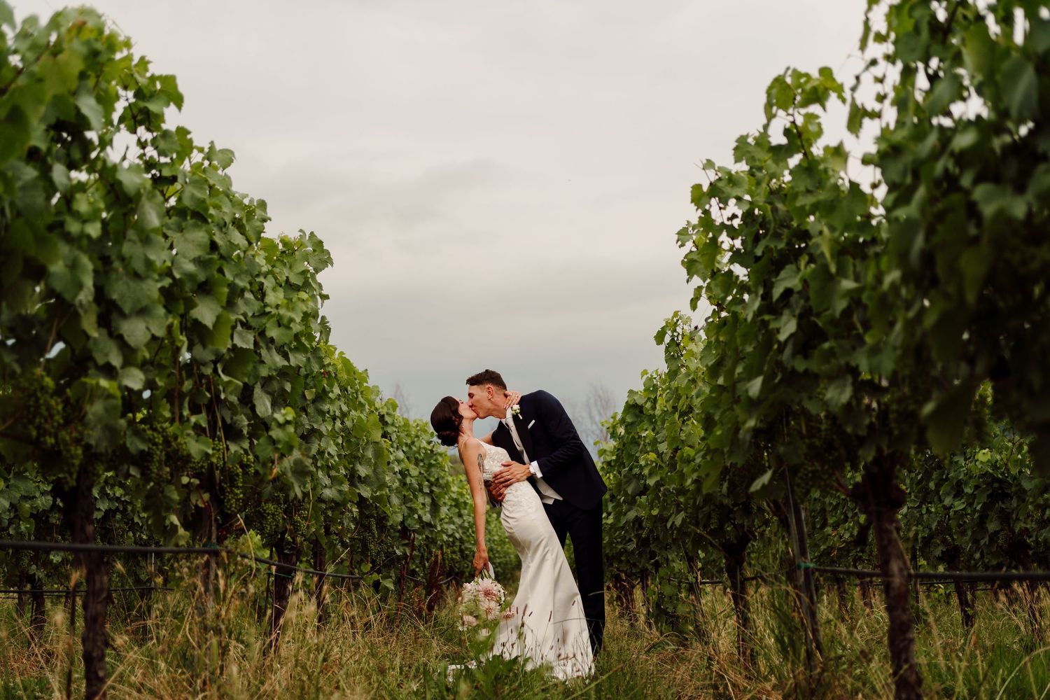 Bride and groom share a romantic kiss among lush vineyard rows on their wedding day.