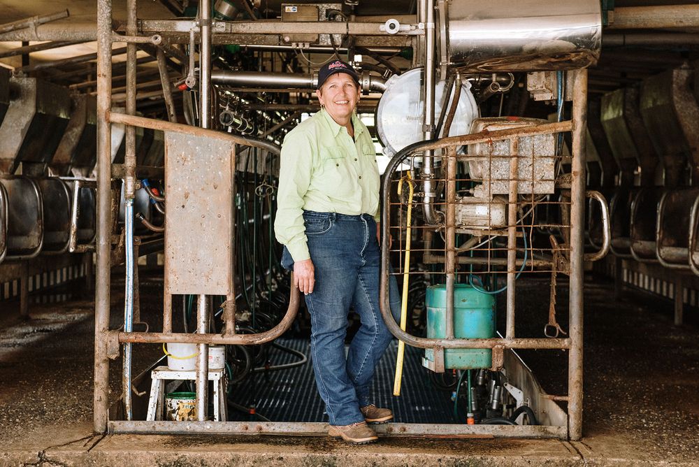 Dorrigo editorial photo farming