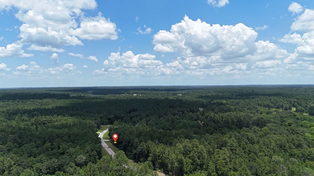 Aerial view of vast green forest landscape with a red structure visible among trees under a blue sky with white clouds.