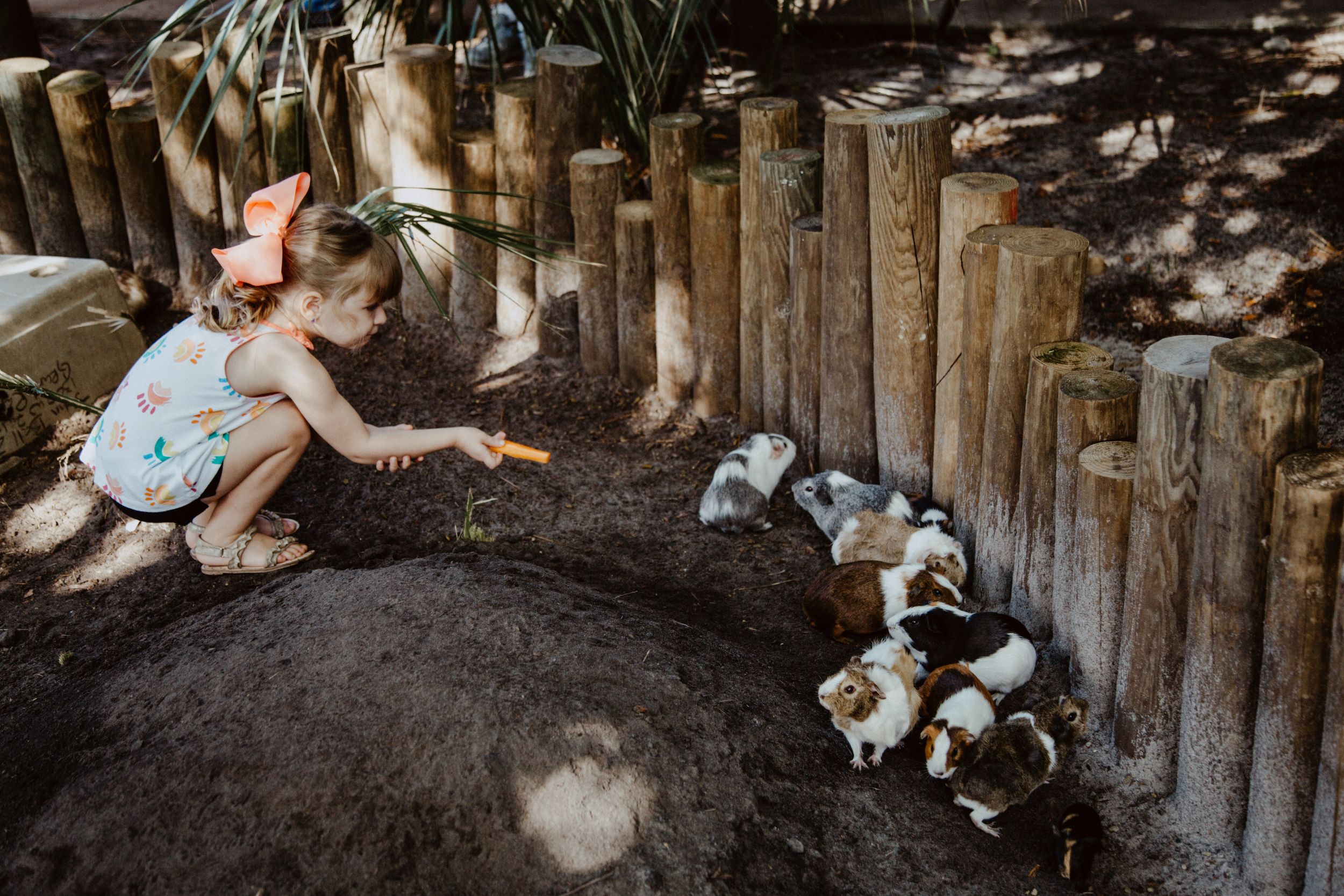 small local businesses branding in Panama City florida photography