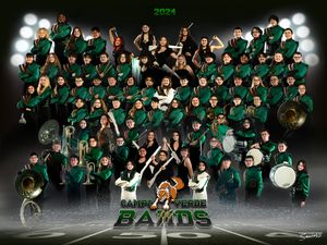 Phoenix AZ  Competitive MARCHING Band Banner Pictures Anjeanette Photography High School Senior Grad PORTRAITS Arizona