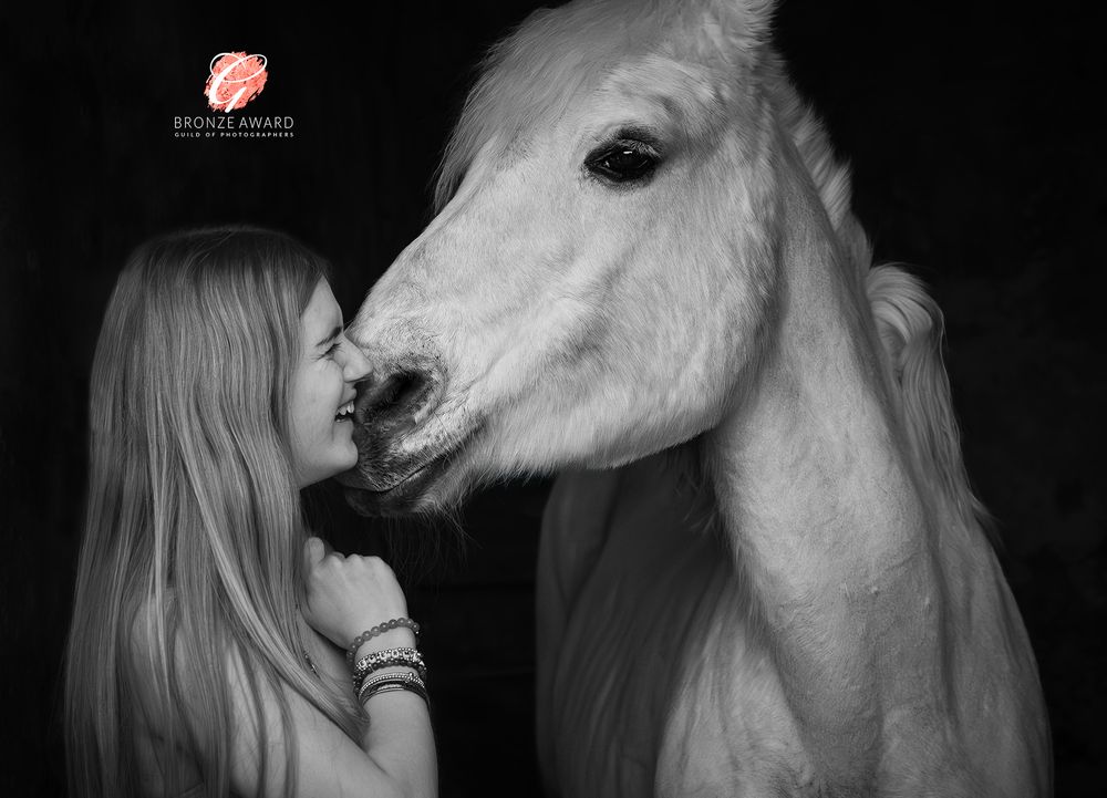 Horse photography in County Durham
