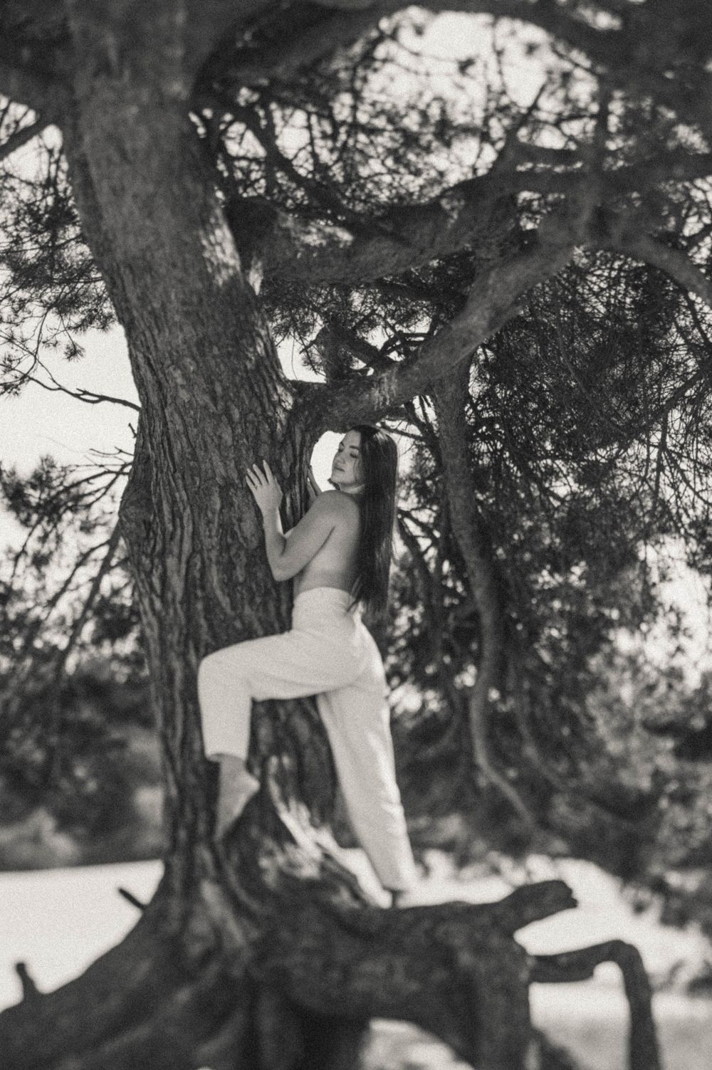 Romantic black and white scene beneath a large twisted tree trunk.
