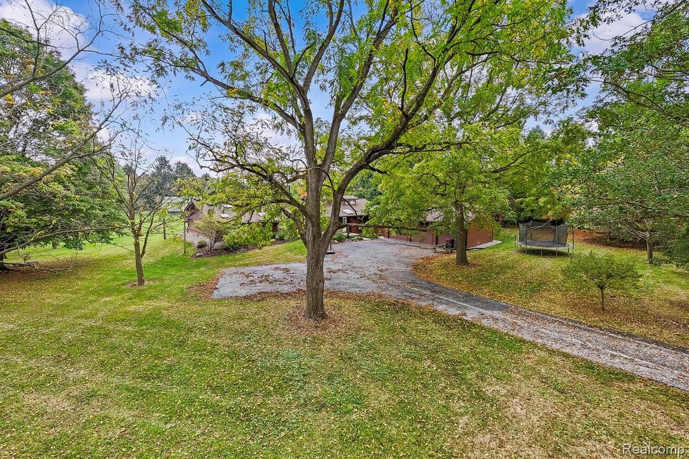 Tree-lined driveway leading to a home surrounded by lush green lawn and mature trees.