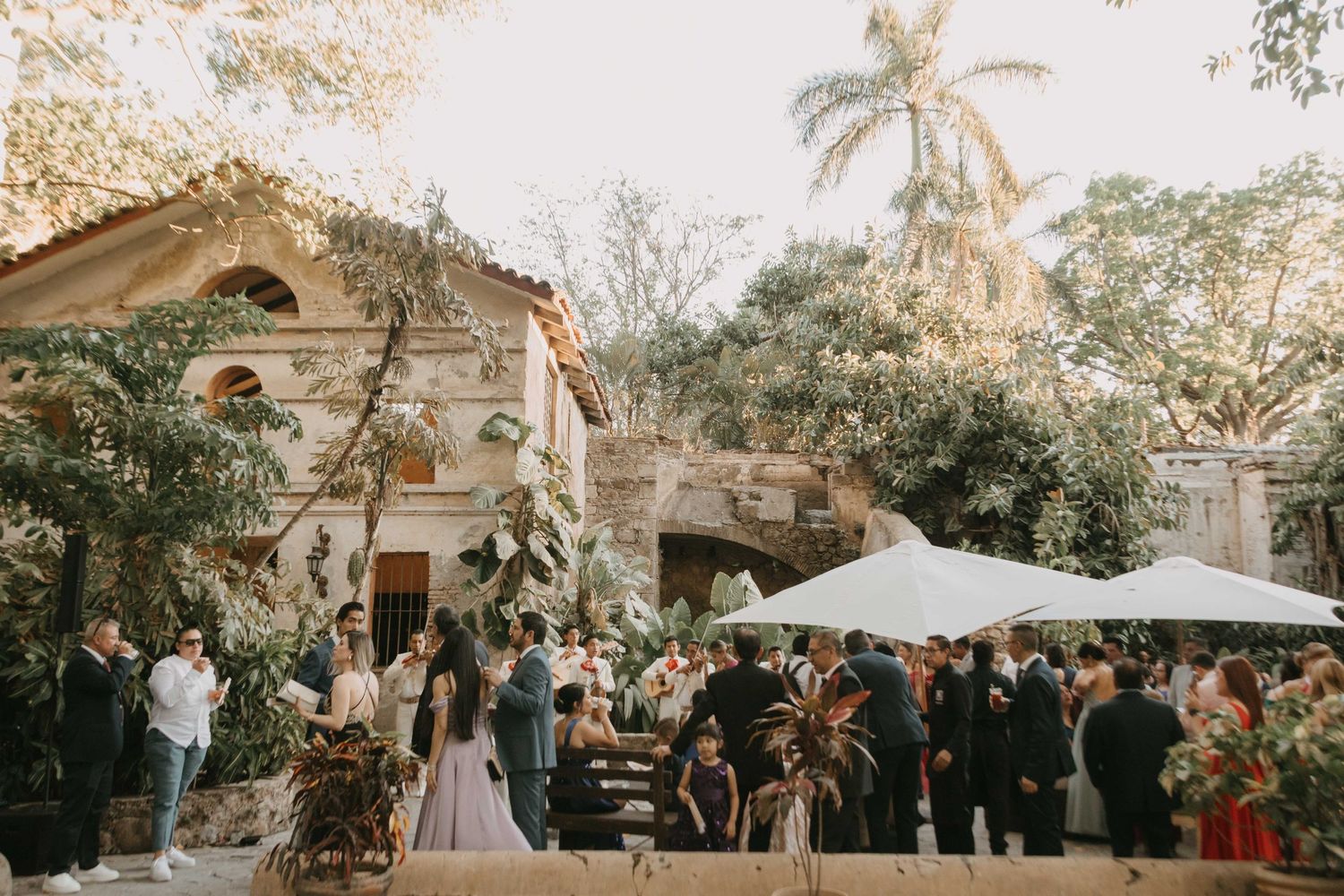 Outdoor wedding ceremony setup with guests gathered under towering trees at sunset.