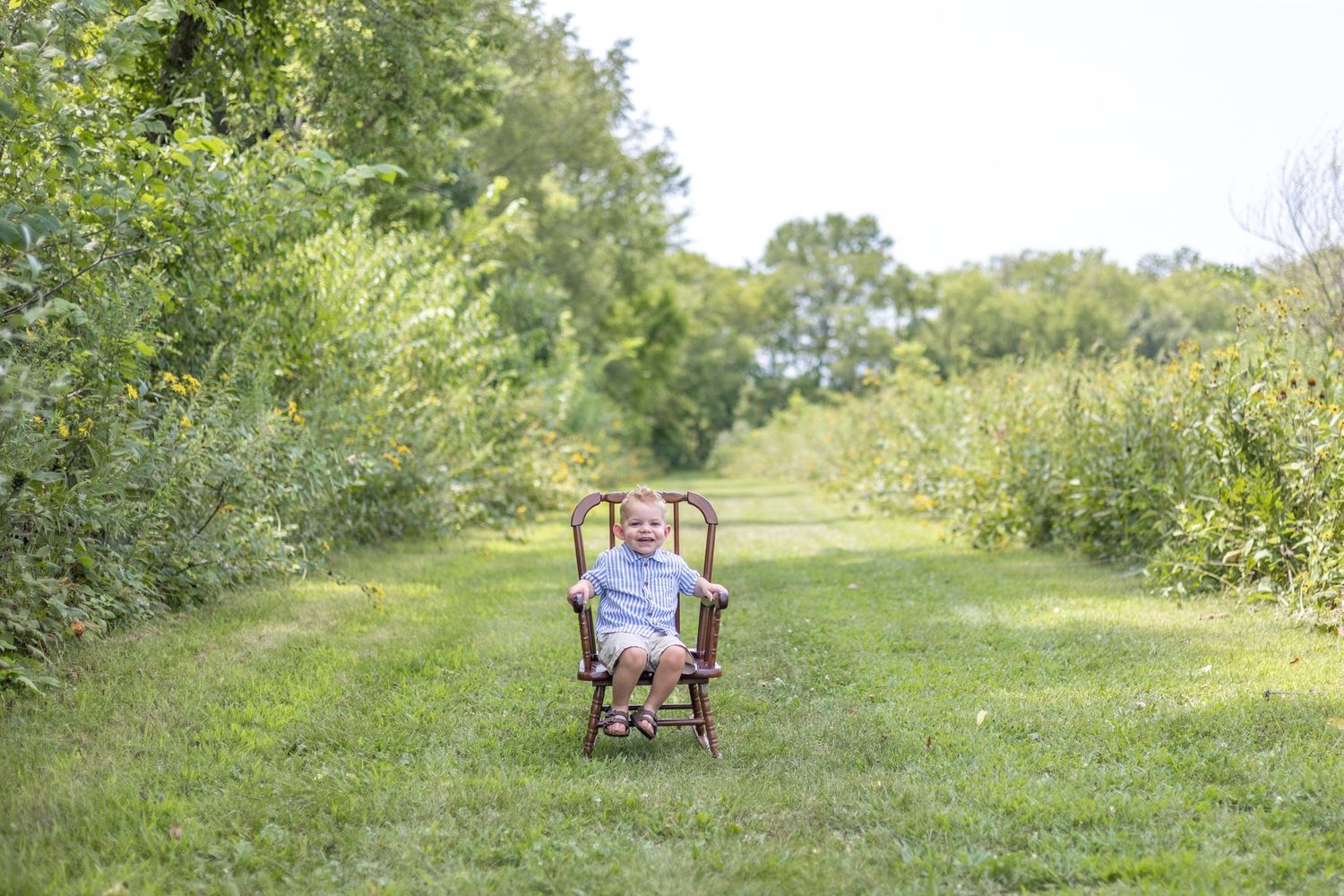 Springfield, IL captures a boy in a rocking chair in a grass clearing near trees and wildflowers