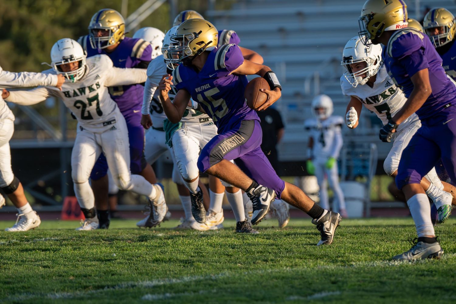Football players in gold helmets and purple jerseys lined up in formation on field.