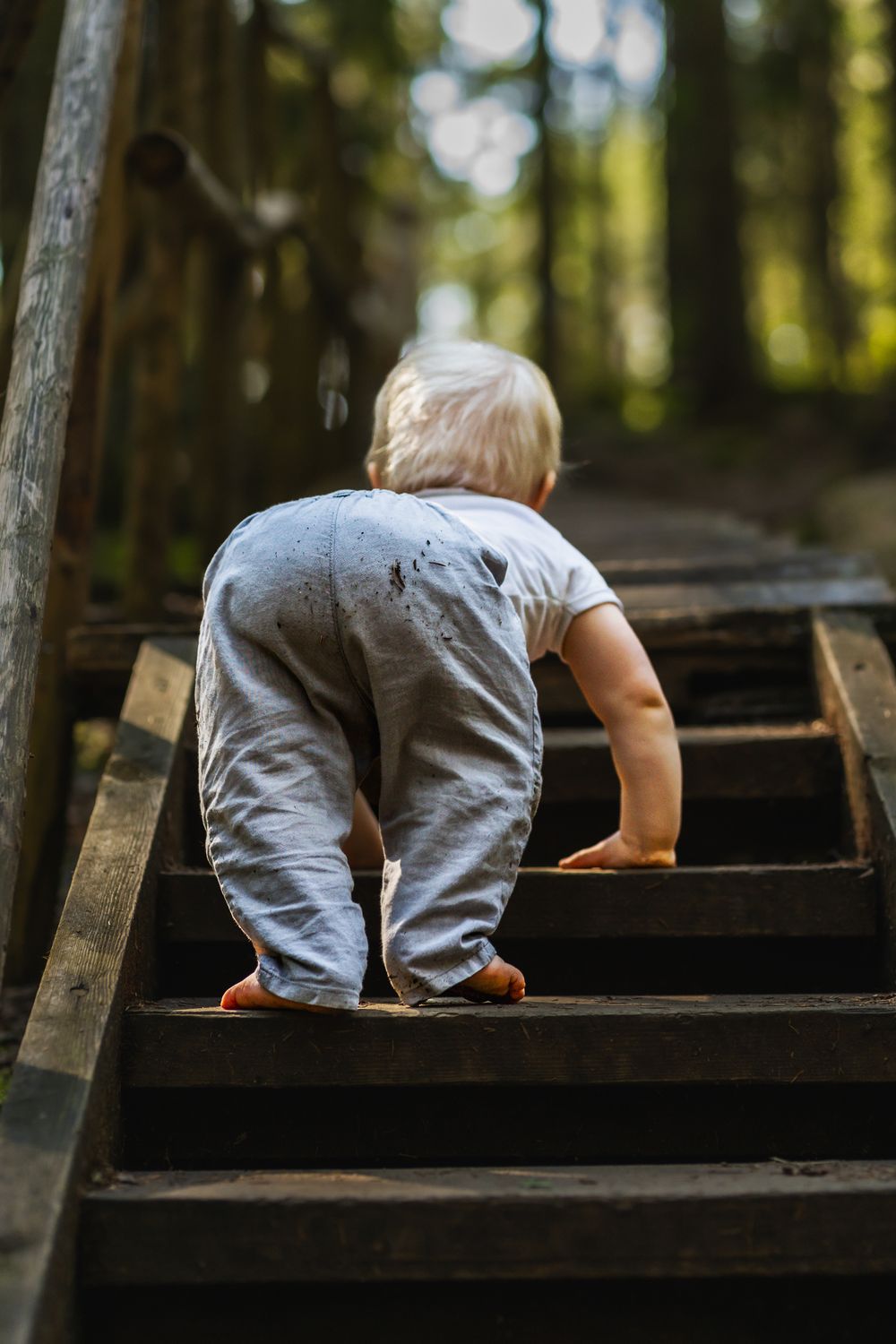 Small child crawling up wooden outdoor stairs in a forest setting.