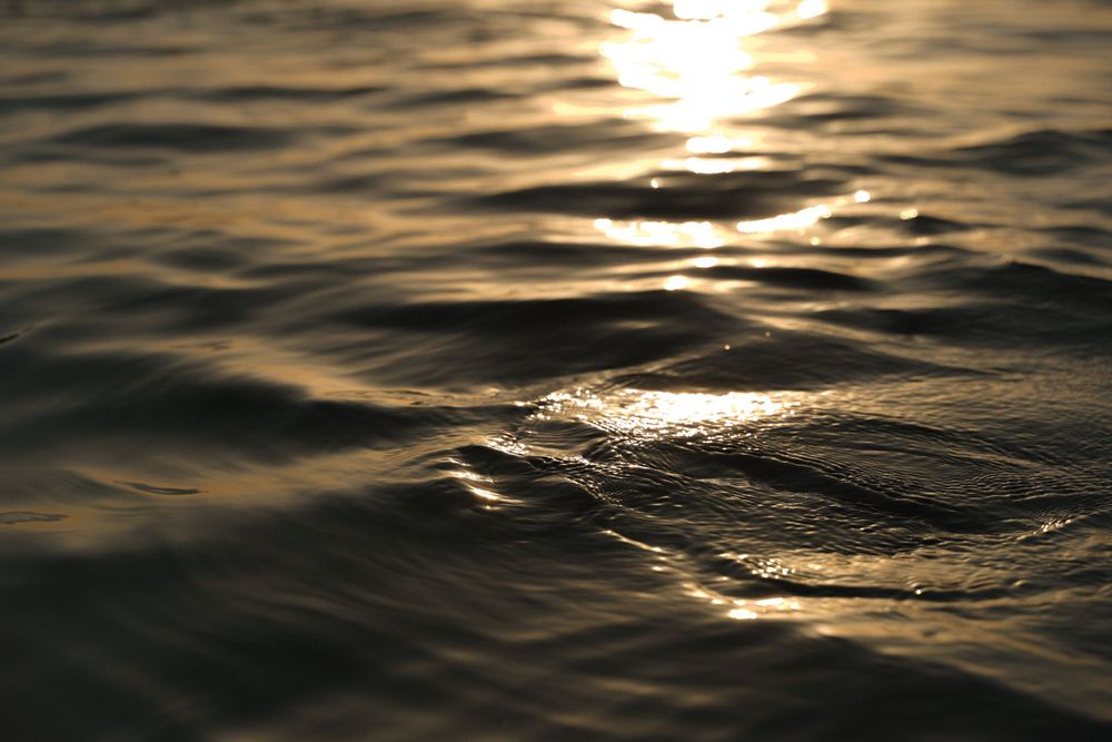 Golden sunlight reflecting on gentle ocean waves during sunset.