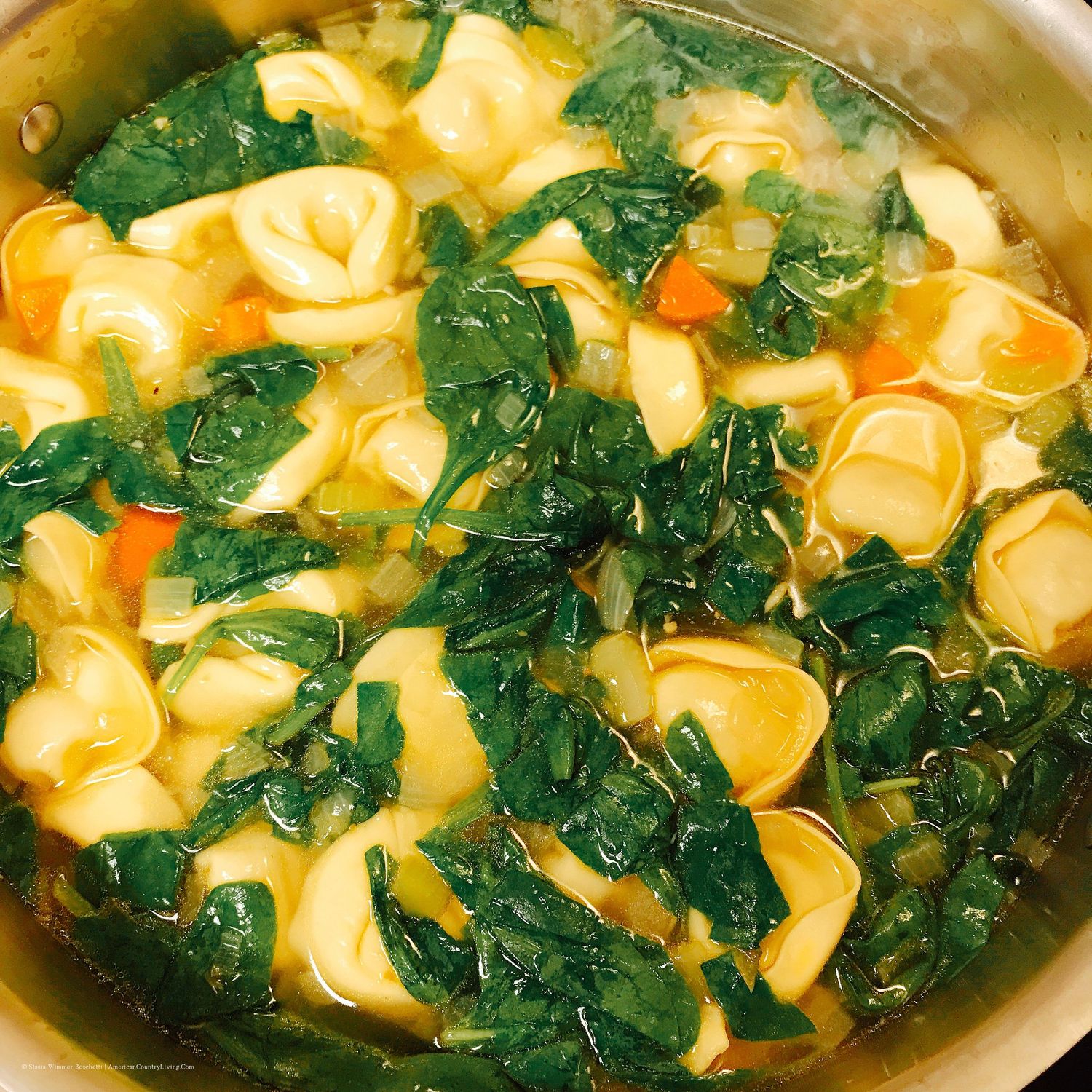 Italian tortellini soup with leafy greens in a rich golden broth.