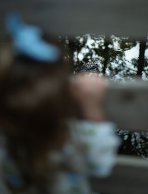 Blurred reflection in a car side mirror shows snowy trees and landscape in winter.