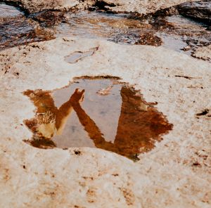 Several brown water puddles on light beige rocky terrain forming abstract patterns in nature.