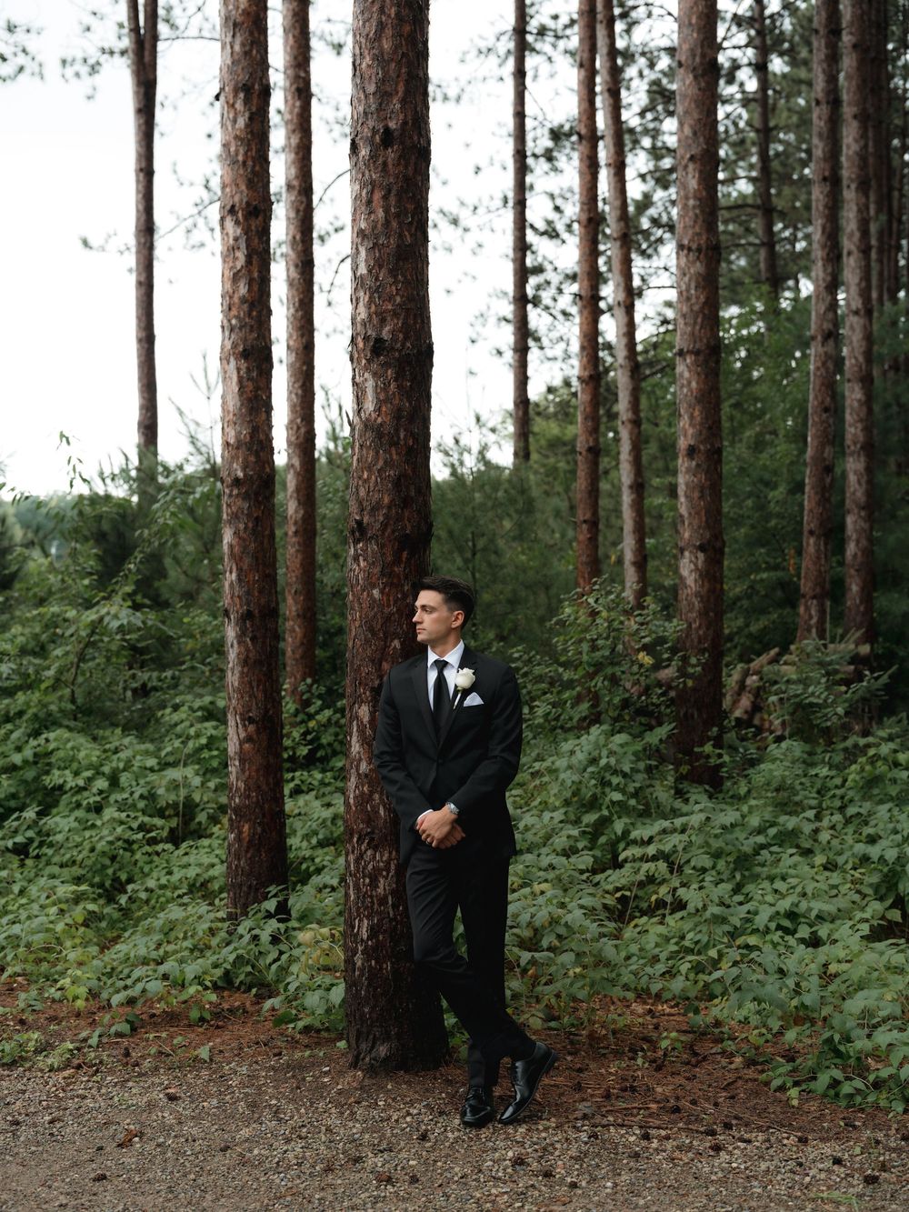 A formal groom in a black tuxedo stands thoughtfully among tall pine trees on a forest path.