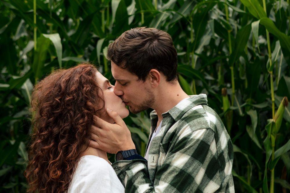 overschoot in het maisveld, dit verliefde stel kus elkaar innig