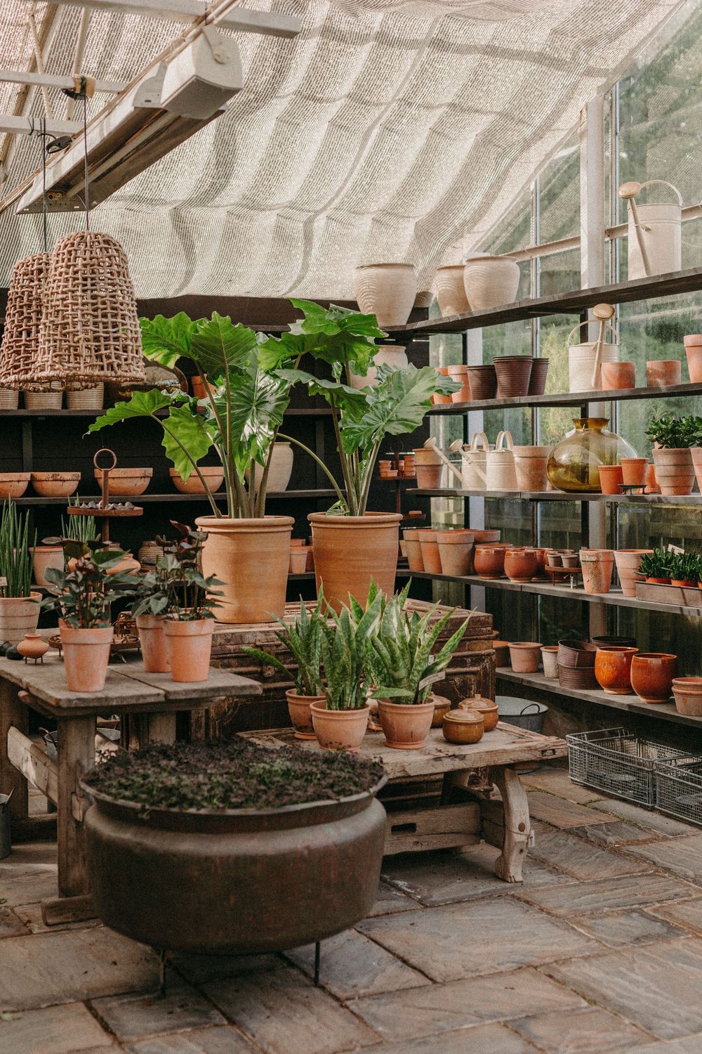 Rustic greenhouse interior with terracotta pots, woven baskets, and shelves displaying various potted plants and gardening supplies.