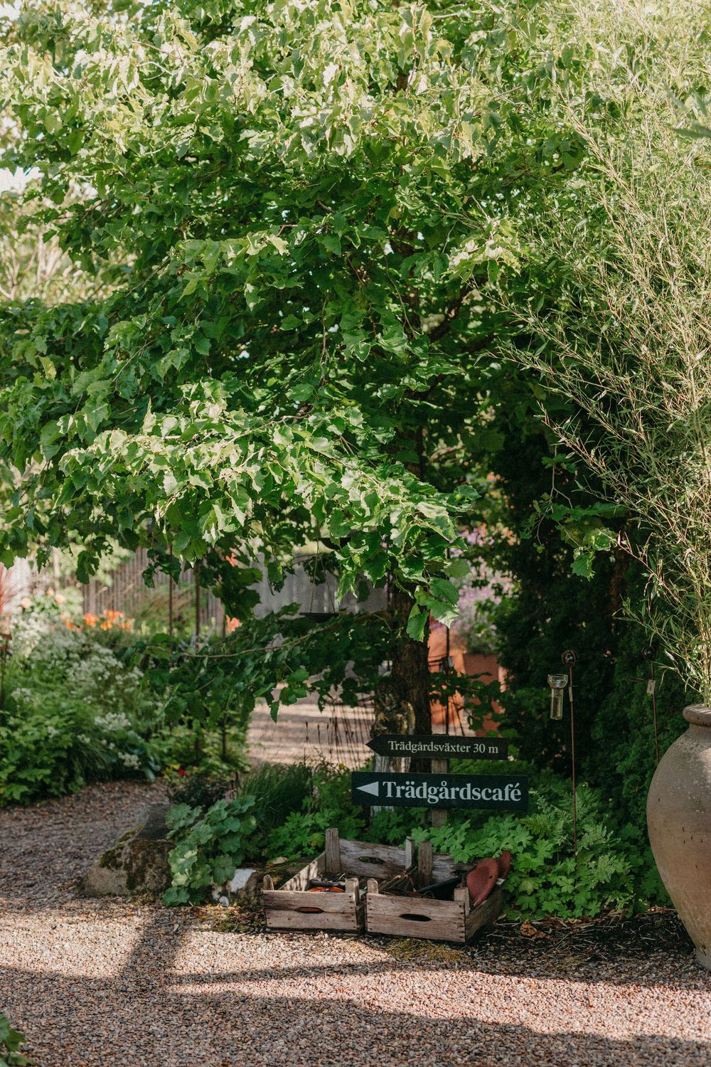 A garden bench sits under shady green foliage on a rustic gravel path in a peaceful backyard setting.