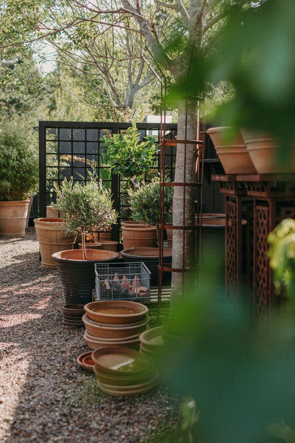 Garden corner with terracotta pots and planters arranged on gravel path near black metal trellis in natural setting.