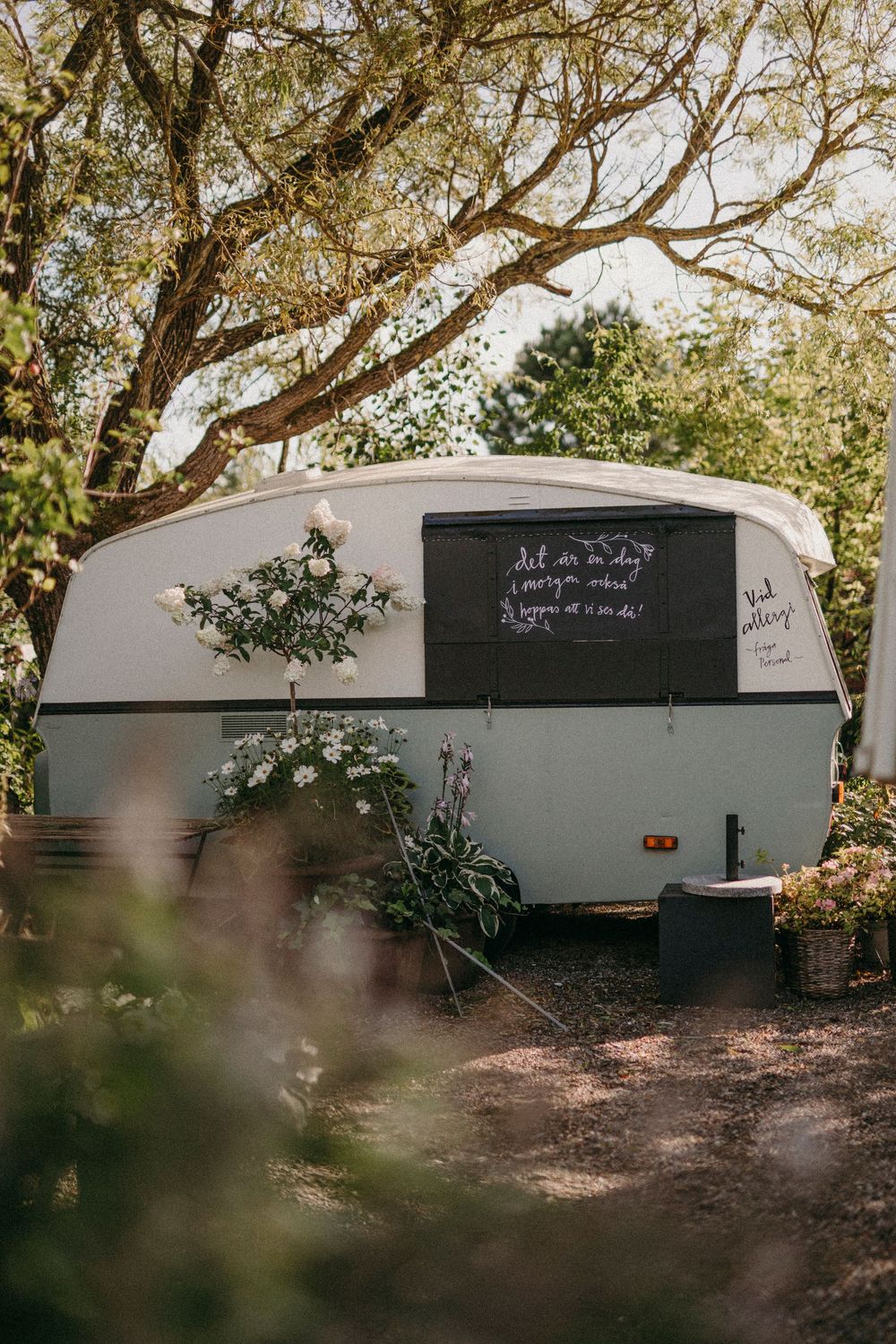 A row of white vintage caravan trailers parked beneath leafy trees creates a charming retro campground setting.